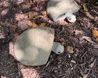 Stone Heart Shaped Turtles