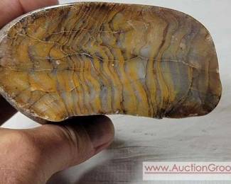 1 PETRIFIED WOOD