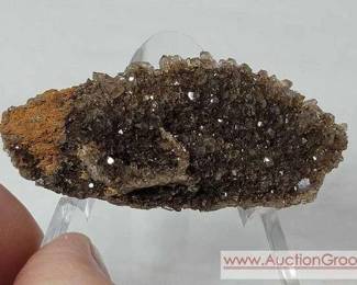 1 PETRIFIED WOOD QUARTZ ENCRUSTED BRILLIANT from Alabama
