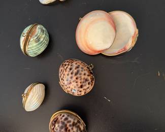 SHELL PILL CASES