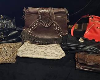 Purse Lot