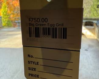 Big Green Egg Grill 