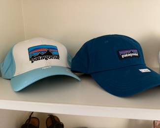 Patagonia Hats 