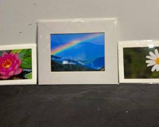 Unframed Nature Prints by Furber, Koll
