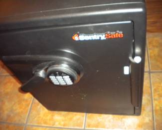 Digital Sentry safe
