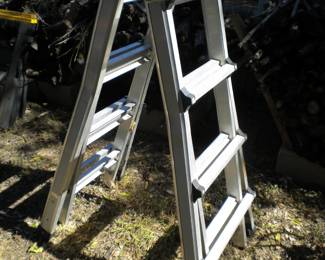Tri-fold ladder