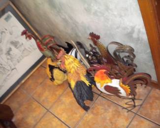 Chickens and roosters