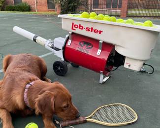 Lobster Tennis Ball Launcher