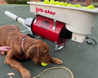 Lobster Tennis Ball Launcher