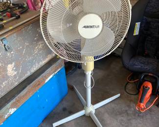Oscillating fan