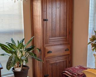 BEAUTIFUL CHIMNEY CUPBOARD!