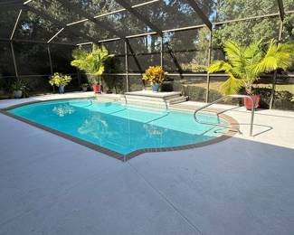 Stunning palms and crotons