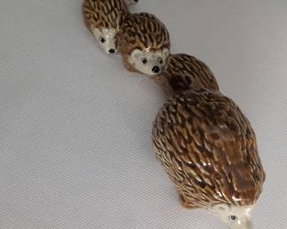 hedgehogs
