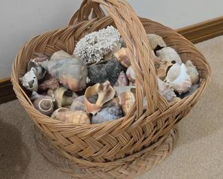 HUGE Basket Of Seashells From Trinidad