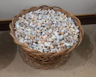 HUGE Basket Of Seashells From Trinidad