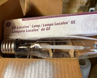 Lots of light bulbs. Some specialty ones too!