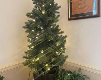 Tree $24