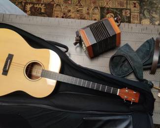 Guitar and vintage musical instruments