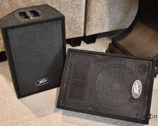 Peavey PA speakers