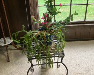 Iron plant stand, pot with succulent plant