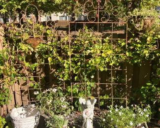 trellis, white cement pottery, plants from$10.00-$25.00