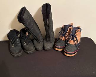 Blondo and Lands End boots