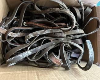 horse bridles