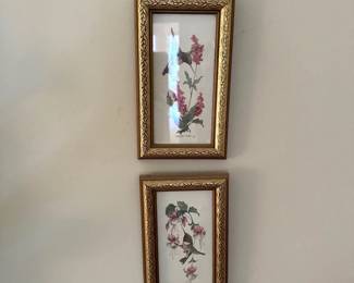 Hummingbird - Artwork