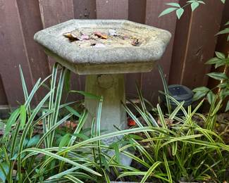 Bird bath