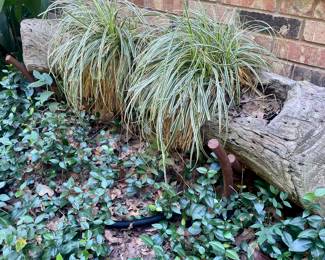 Termite wood planter on metal stand
