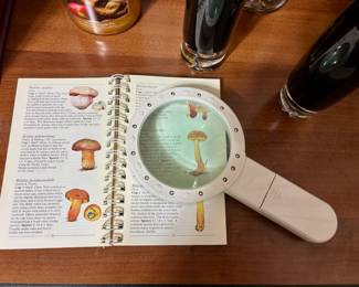 Mushrooms and Other Fungi American Nature Guides by Geoffrey Kibby, Illuminated Handheld Magnifying Glass