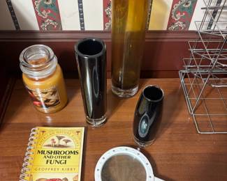 Mushrooms and Other Fungi American Nature Guides by Geoffrey Kibby, Illuminated Handheld Magnifying Glass