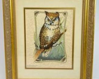 Great Horned Owl Framed Print