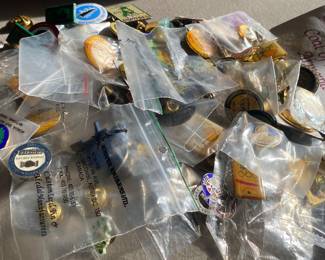 Assorted Travel Pins