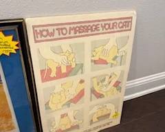 "How to Message Your Cat" signed print