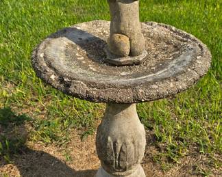 Bird Bath
