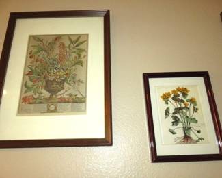 Vintage Framed 12 Months of Flowers by Robert Furber, Vintage Framed Botanical Prints