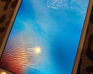 iPad mini