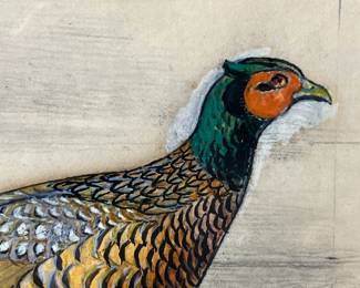 Edouard Traviès, Study of a Pheasant, 1841
