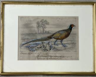 Edouard Traviès, Study of a Pheasant, 1841
