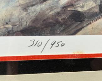 Puffin Offset Lithograph by Roger Tory Peterson