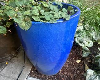 Pots