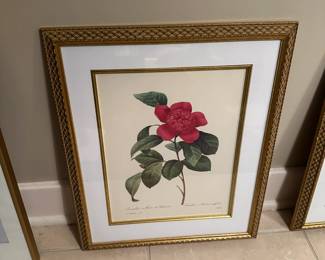 Framed rose print
