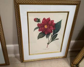 Framed flower print