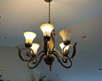 Beautiful Hanging Light