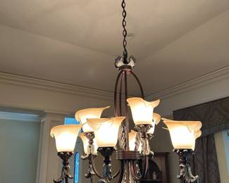 Beautiful Hanging Light