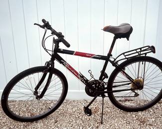 Roadmaster Mt. Fury mountain bike.