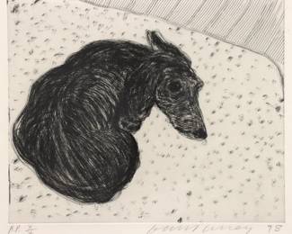 David Hockney, English, b.1937.  A 1990's engraving on Somerset paper depiction of a Dachshund, titled "Dog No. 15".  From "Dog Wall" series, published by Pace Editions, New York, Artist Proof edition of 10, aside from the edition of 35.  Signed "David Hockney" and dated "98" in pencil lower right, numbered "A.P. X/X"  lower left.  Good condition.  Plate 10 1/2 x 8 1/2" high, in a contemporary brushed aluminum frame, 16 3/4 x 15 1/4" high overall.  
