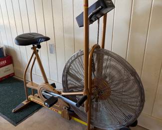 COPPER GOLD SCHWINN EXERCISE BIKE