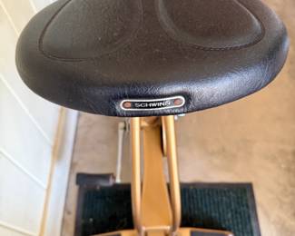 COPPER GOLD SCHWINN EXERCISE BIKE